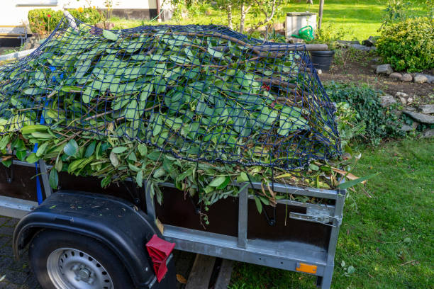 Best Residential Junk Removal  in Williamsburg, OH